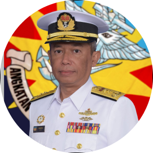 DIRECTOR GENERAL THE DEFENCE CYBER AND ELECTROMAGNETIC DIVISION